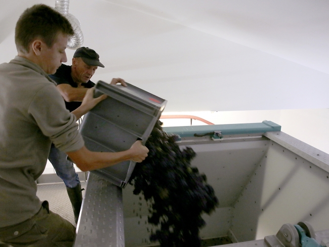 Champagne DELHOMME - 