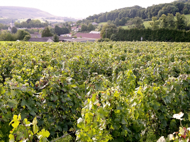 Champagne DELHOMME - 